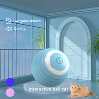 Intelligent Motion-Activated Interactive Cat Ball