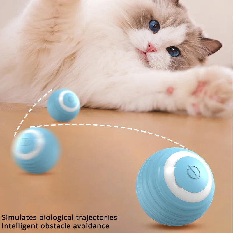 Intelligent Motion-Activated Interactive Cat Ball